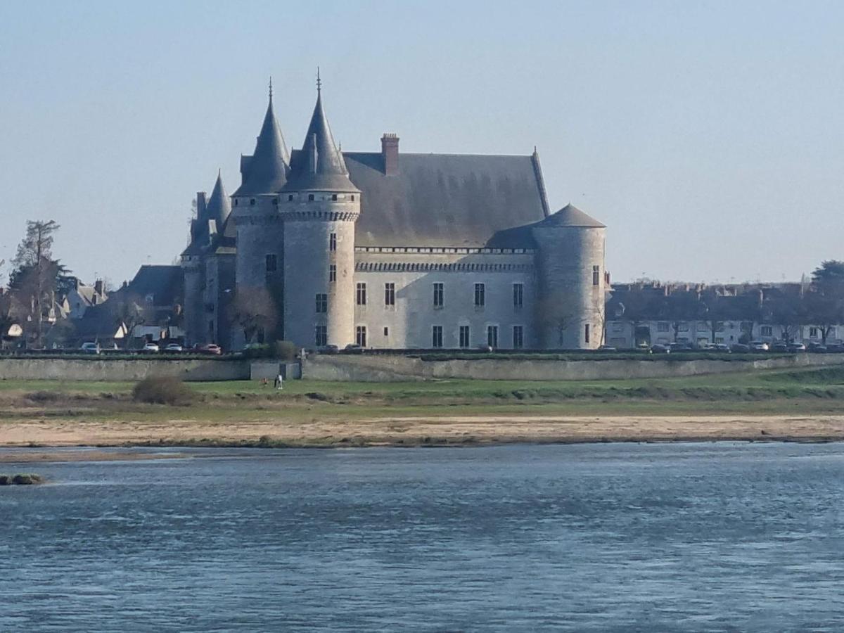 Logis Hôtel Sully le Château Saint-Pere-sur-Loire Extérieur photo